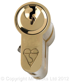 Swansea Locksmith BS1303 Euro Cylinder